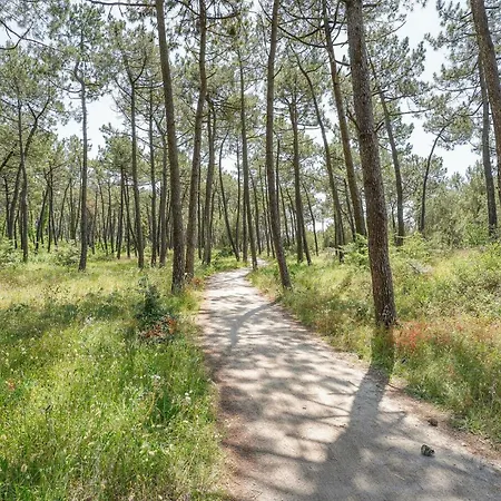 2 Bedroom Amazing In * La Faute-sur-Mer