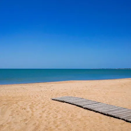 Nyaraló Amazing In *