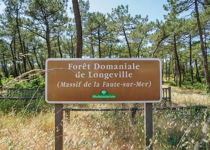 Amazing In * La Faute-sur-Mer