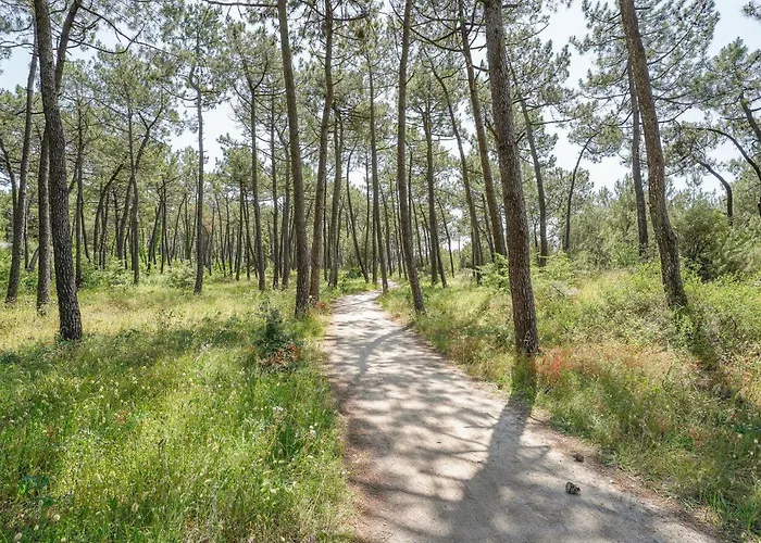 Amazing In * La Faute-sur-Mer